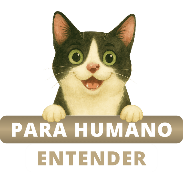 Gato estiloso